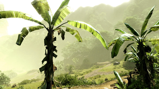 Crytek Is Looking at Flash Support